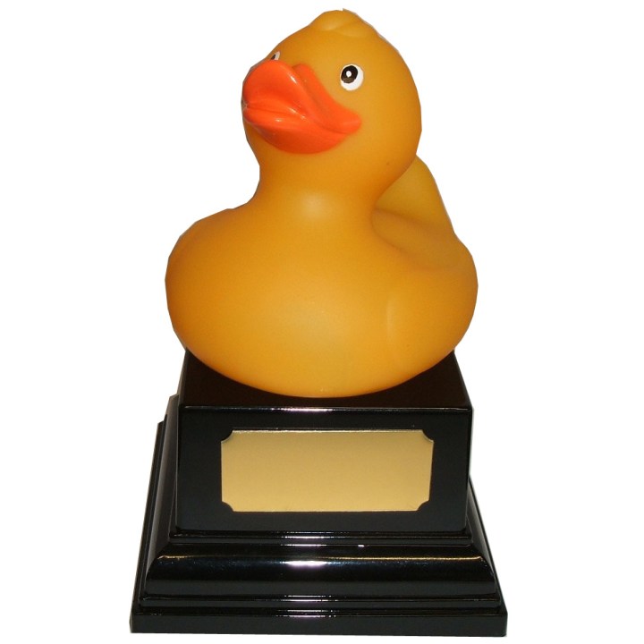duck-award-25809-p